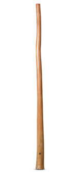 Wix Stix Didgeridoo (WS161)